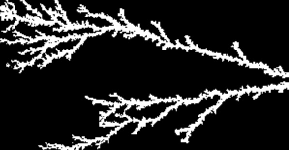 An image of a white fractal against a black background.