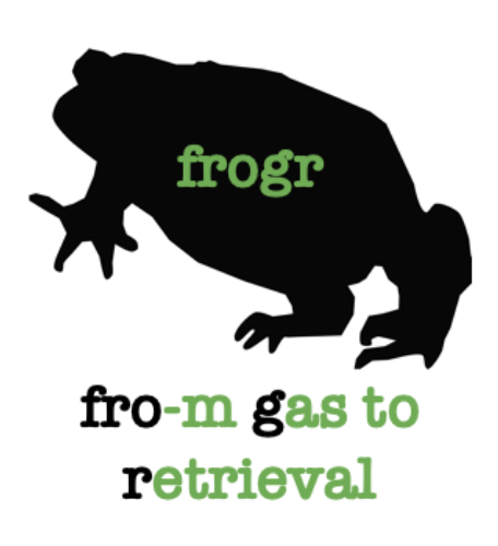 A computer graphic of a frogr.